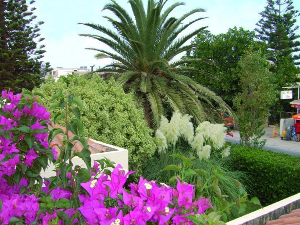 Kokkini Hani Julies Apartments מראה חיצוני תמונה